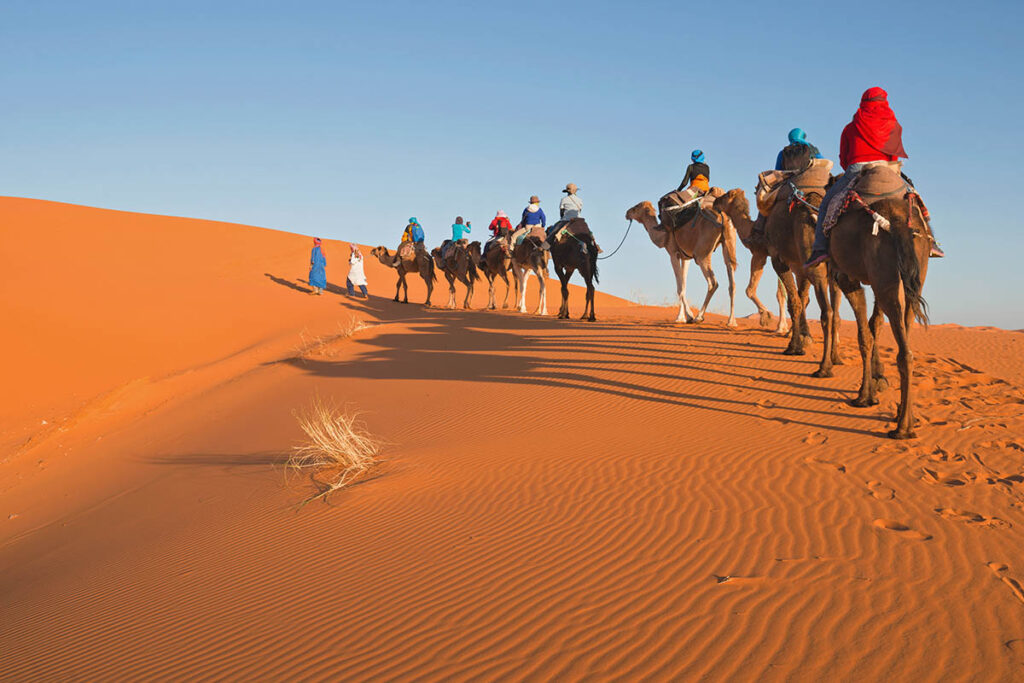 Turistien kamelikaravaani Saharassa. Kuva: Yongyut Kumsri / Shutterstock